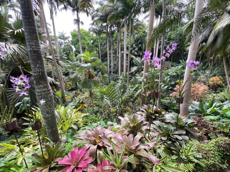 enchatnted garden of the peoples island