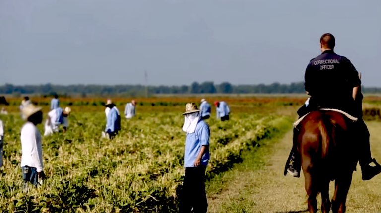 USA penal Slavery